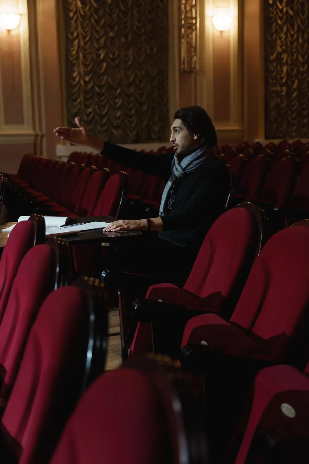 a theatre produces points from the house seats at the stage